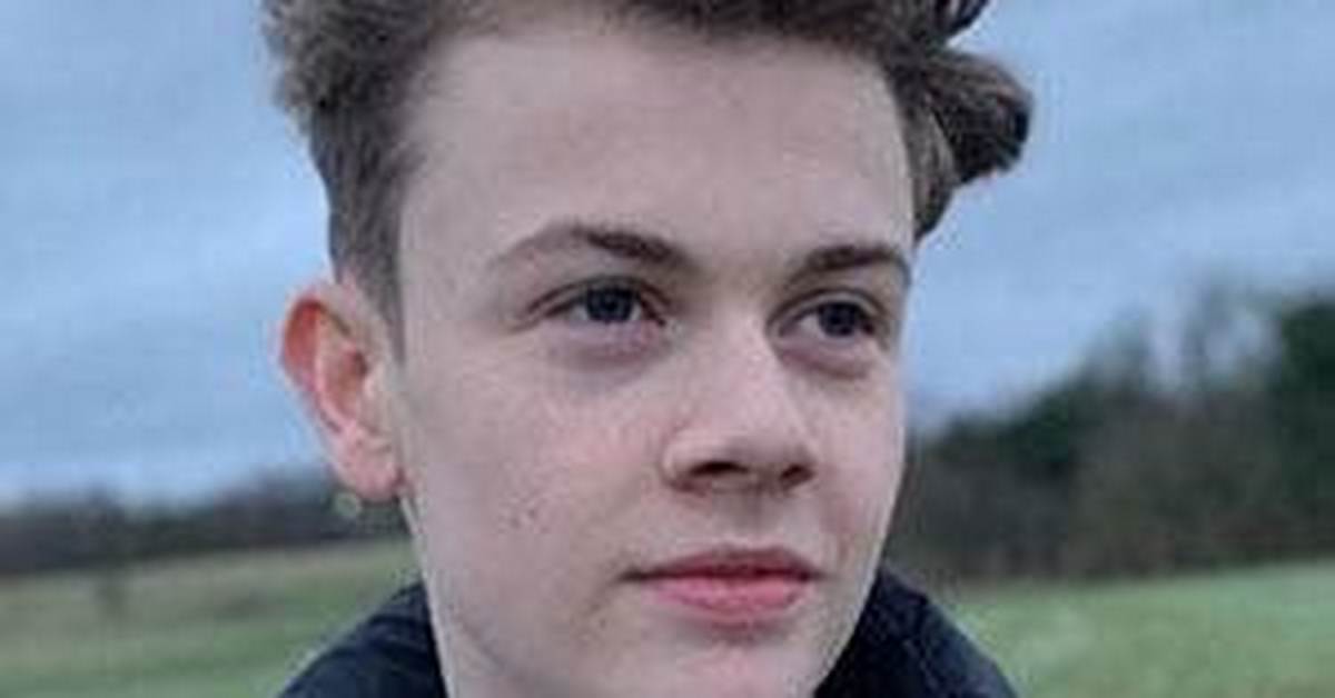 Harry Still - Age, Family, Bio