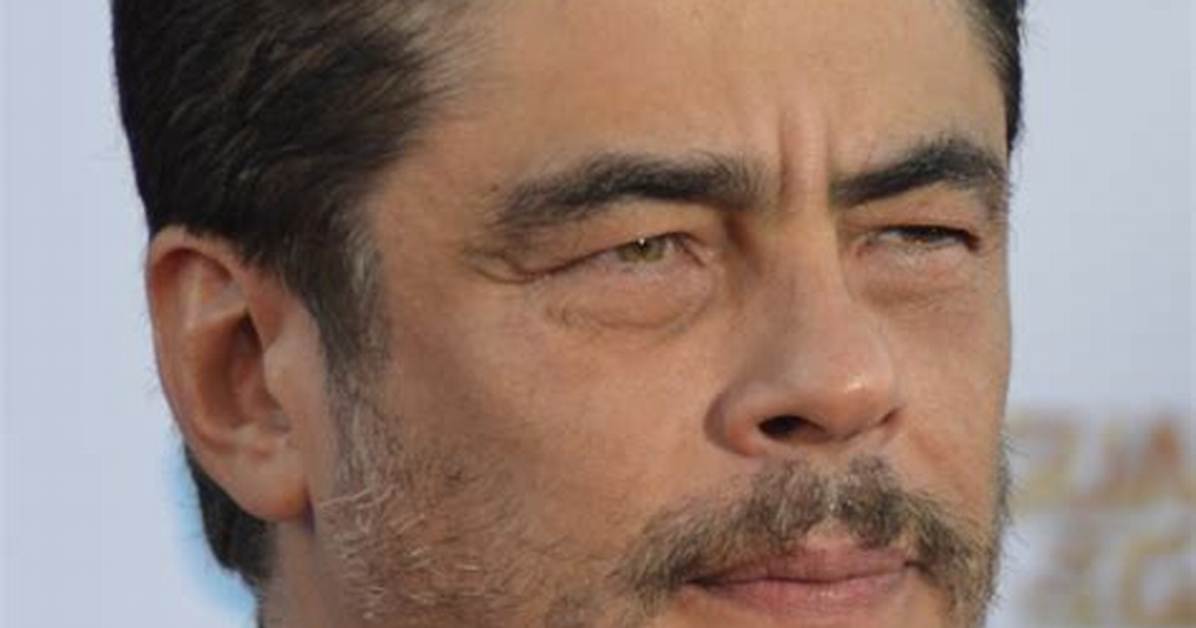 Hot or Not: Benicio Del Toro