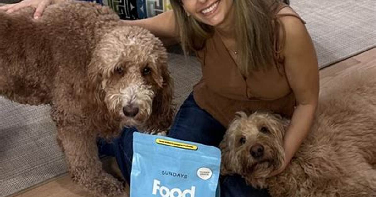 How Can I Make My Dogs Floor Less Slippery?