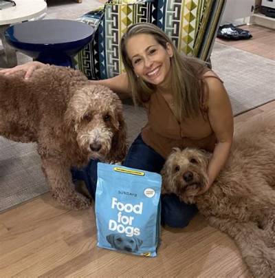 How Can I Make My Dogs Floor Less Slippery?