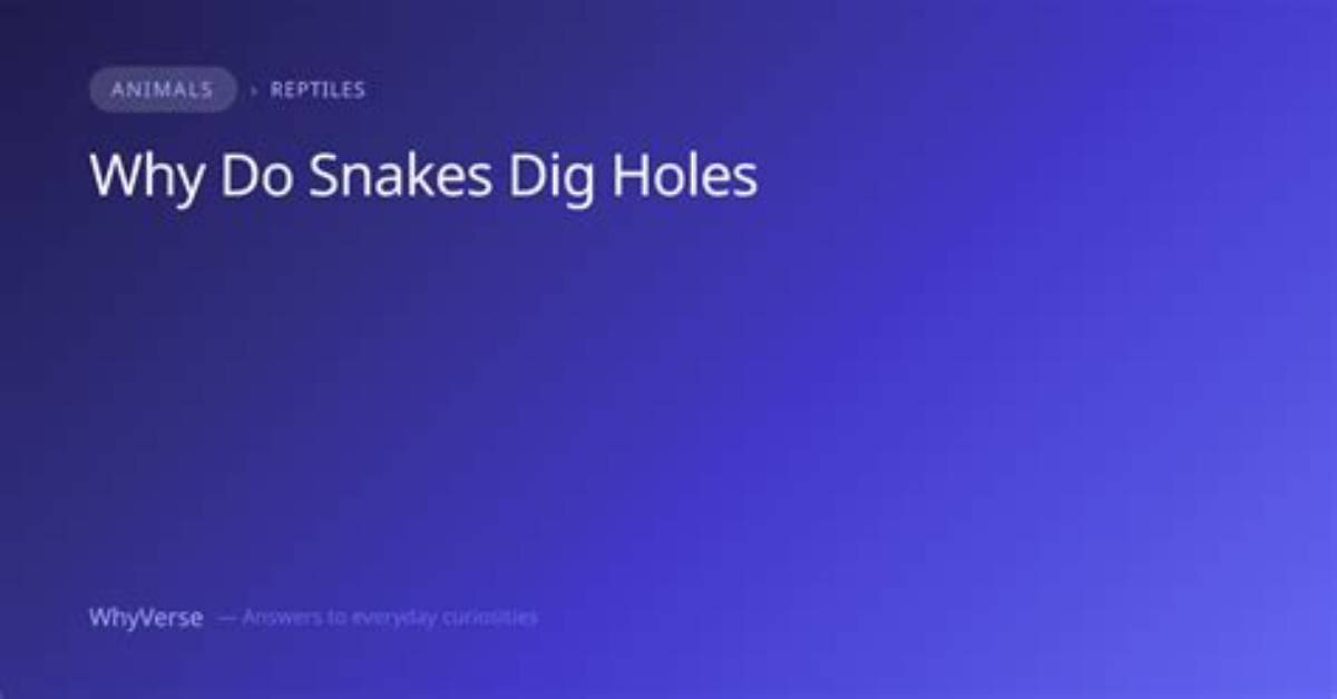 How Deep Do Snakes Dig?