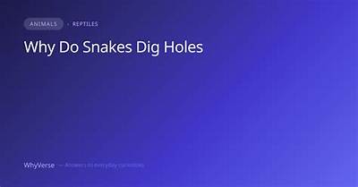How Deep Do Snakes Dig?