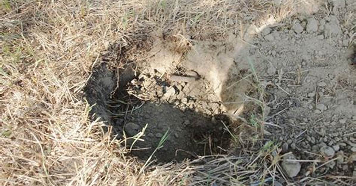 How Deep Do You Bury a Natural Gas Line?