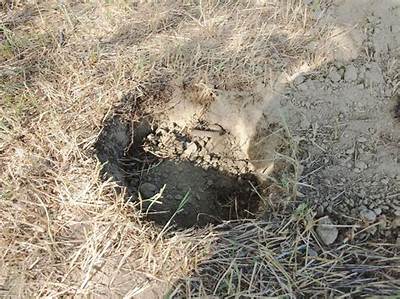 How Deep Do You Bury a Natural Gas Line?