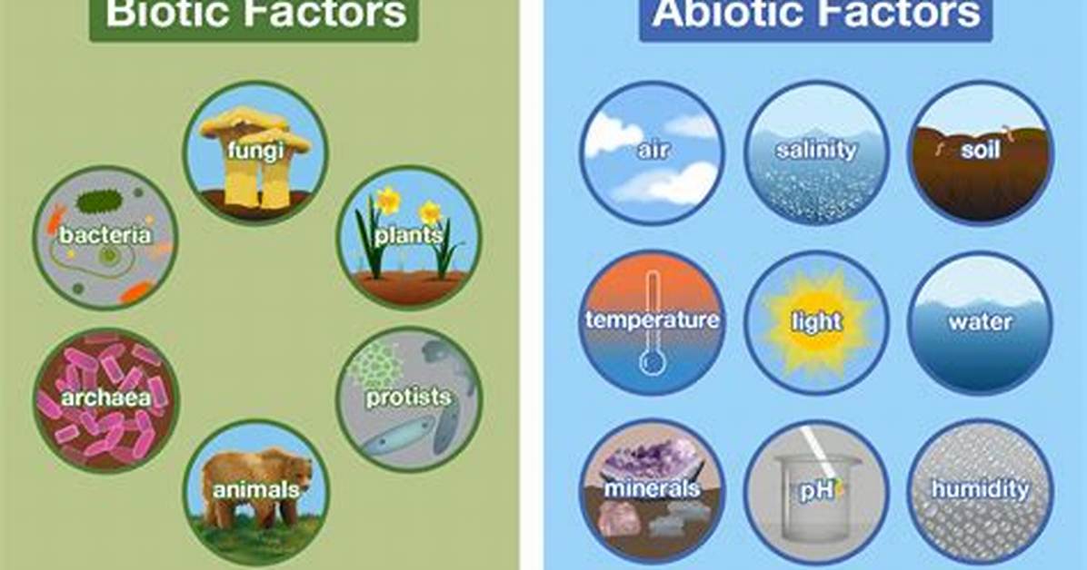 How Do Biotic and Abiotic Factors Affect Population?