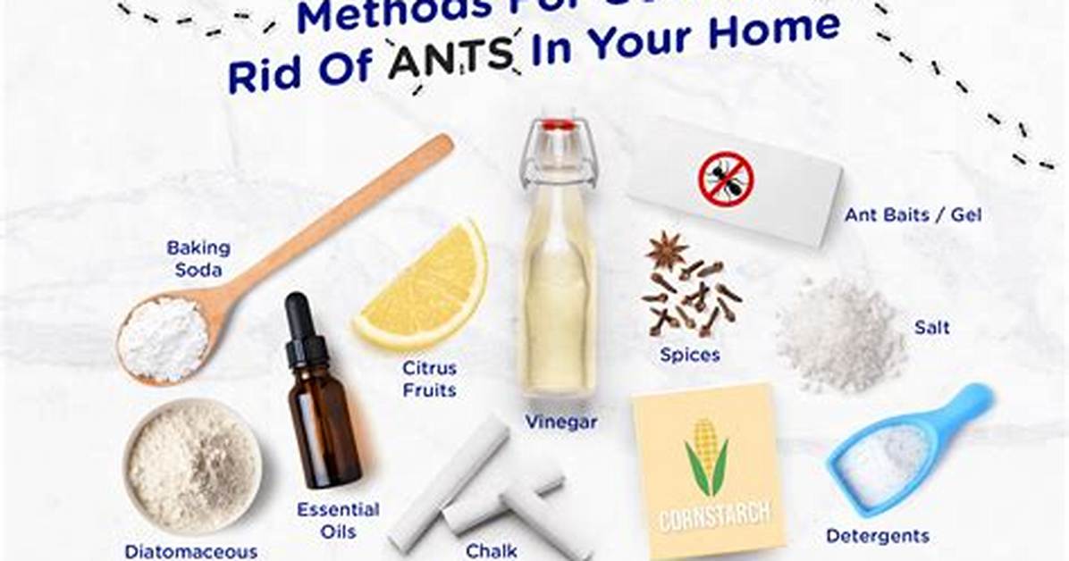 How Do I Get Rid of Ants in My Mailbox?