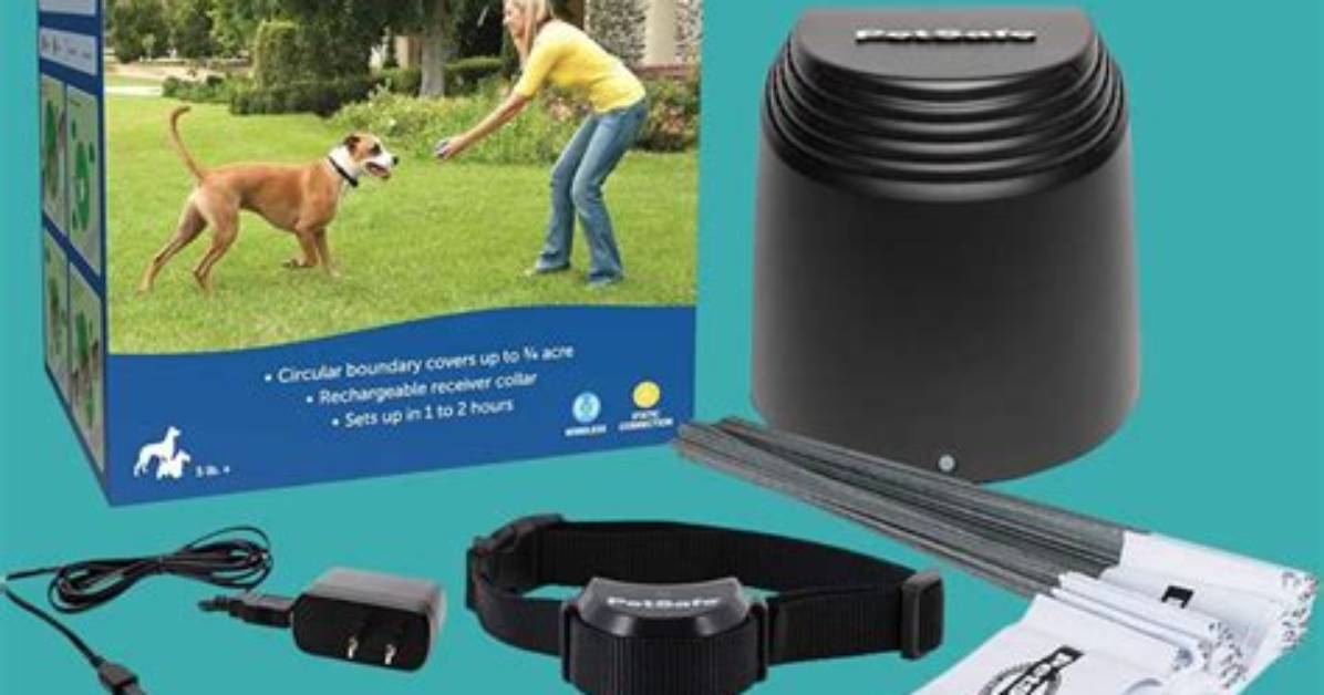 How Do I Sync My Petsafe Wireless Fence?