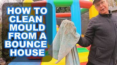 How Do You Clean a Moldy Bounce House?