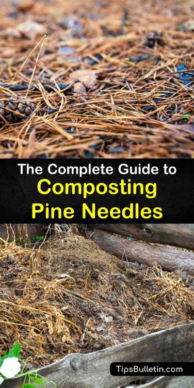 How Do You Compost Pine Needles Fast?