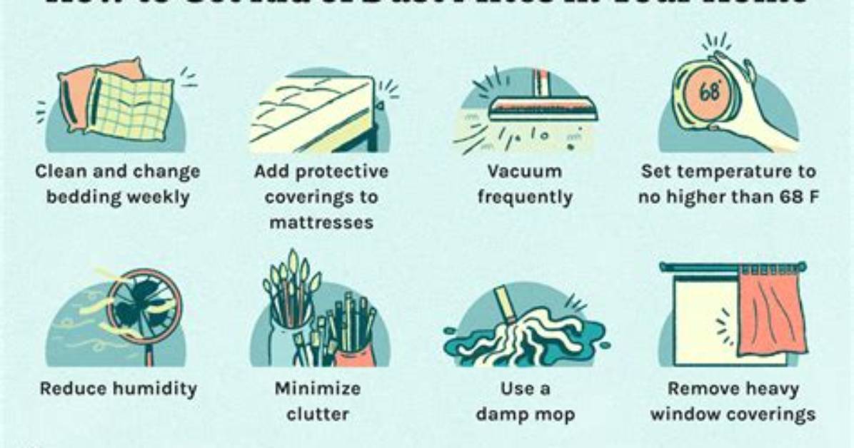 How Do You Get Rid of Elm Beetles?