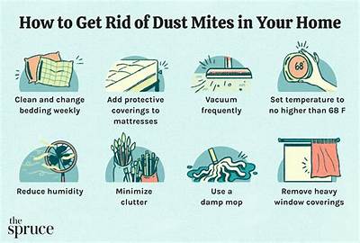 How Do You Get Rid of Elm Beetles?