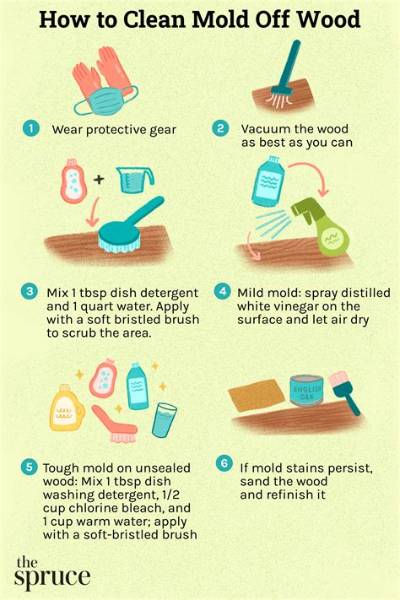 How Do You Get Rid of Mold in a Sandbox?