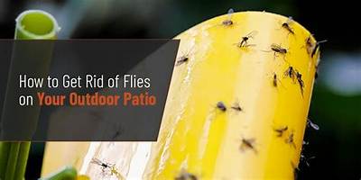 How Do You Get Rid of Outdoor Moths?