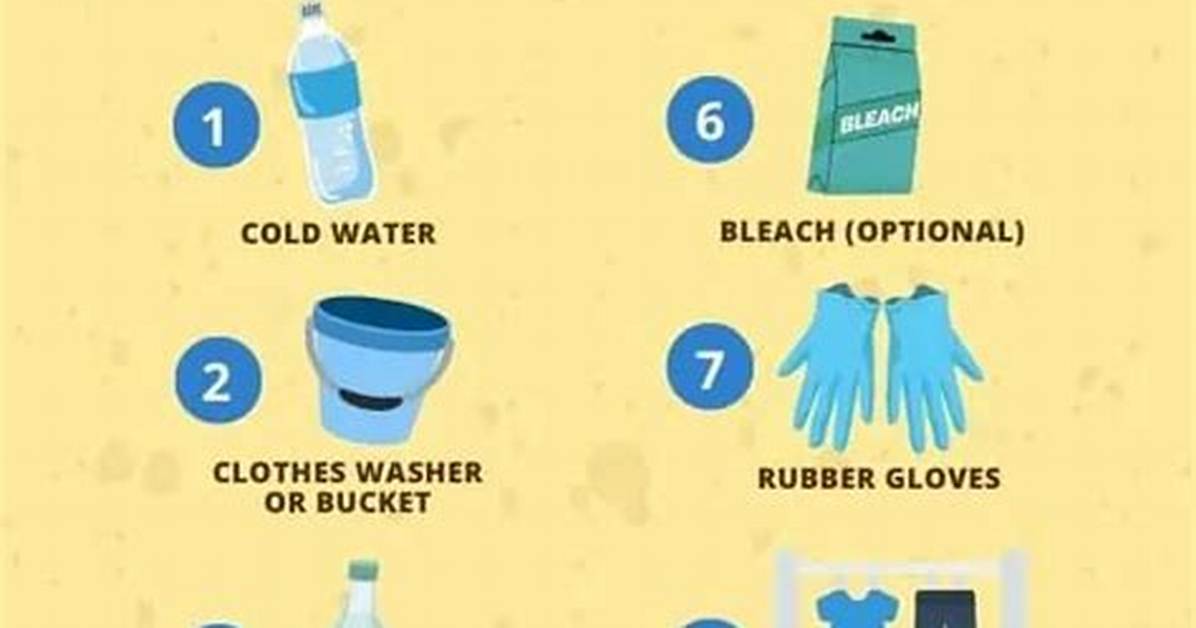 How Do You Get Urine Smell out of Shoes?