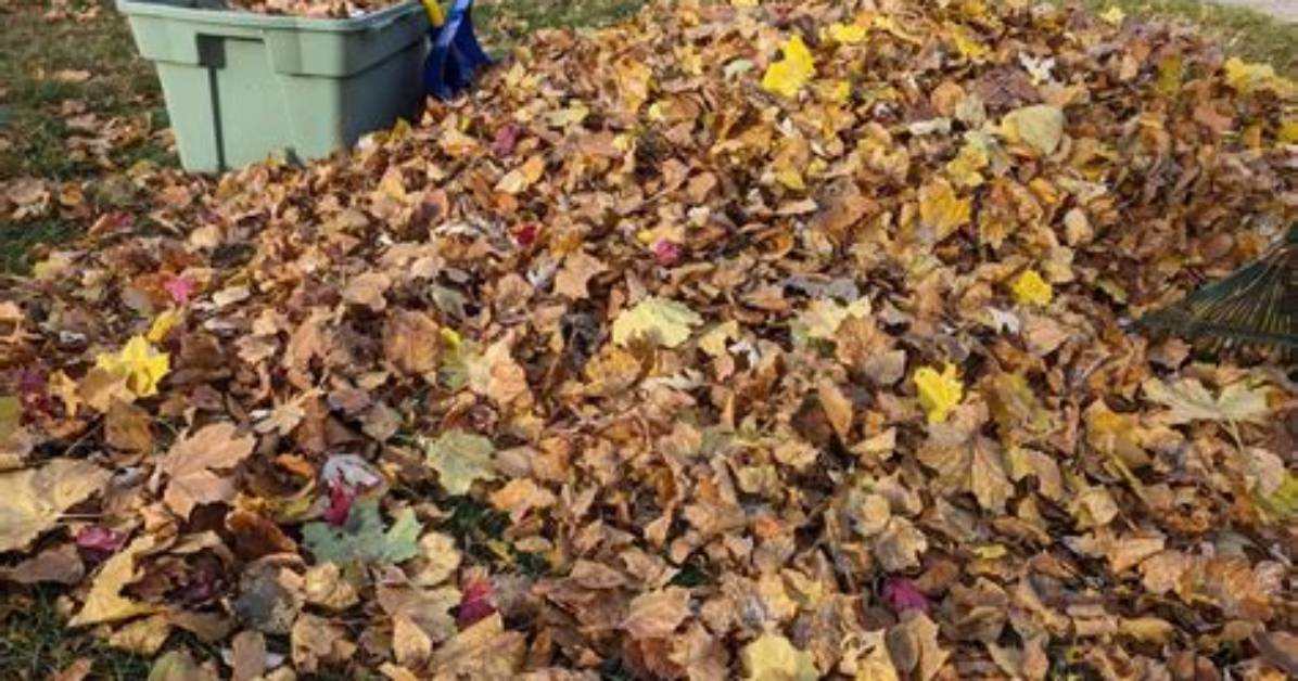 How Do You Spell Leaves of a Table?