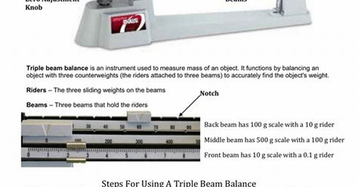 How Do You Use a Triple Beam Balance Scale?