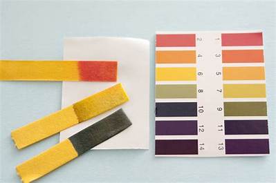 How Does the pH Paper Work?