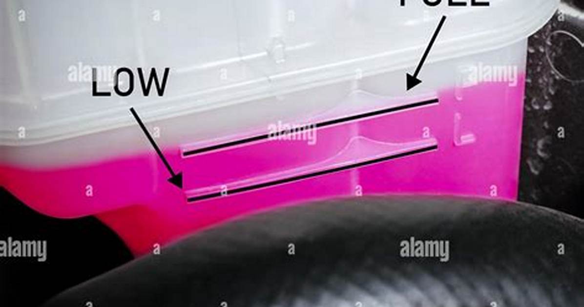How Full Should Your Coolant Tank Be?