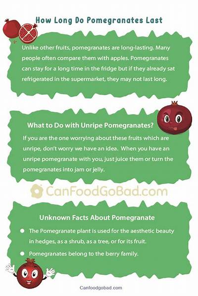 How Long Can I Store Pomegranates in Fridge?