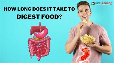 How Long Do Oats Take to Digest?