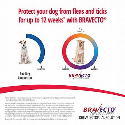 How Long Does It Take Bravecto to Kill Mites?