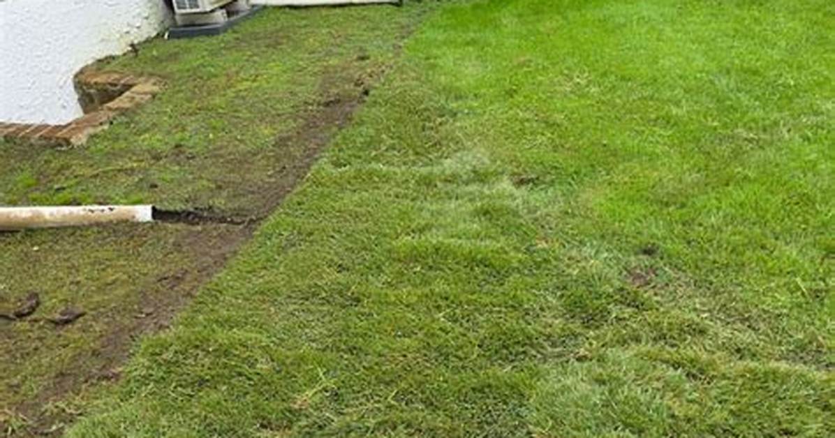 How Long Is a Strip of Sod?