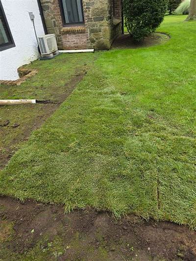 How Long Is a Strip of Sod?