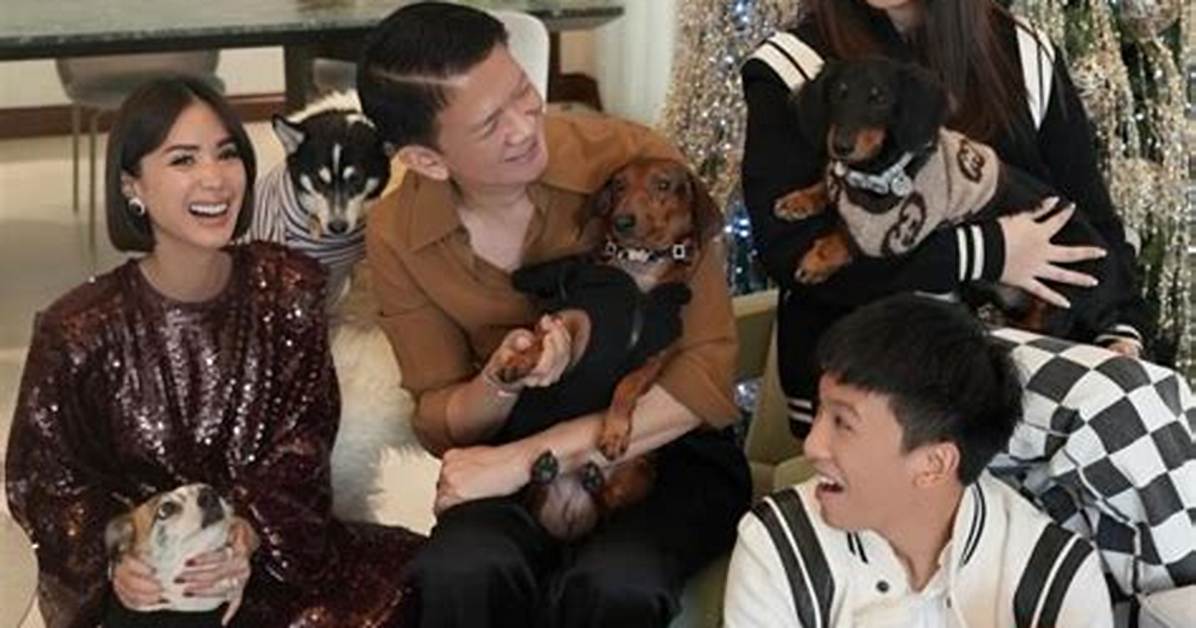 How Many Children Does Chiz Escudero Have with Ex – Wife Christine Elizabeth Flores?
