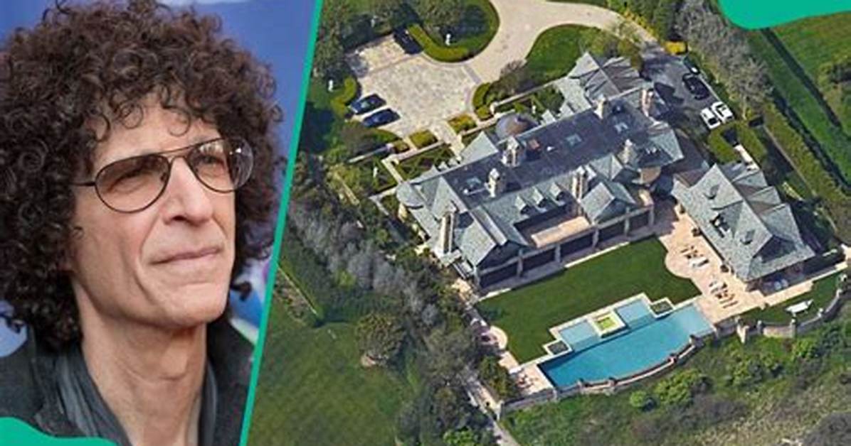 Howard K. Stern Net Worth - Wiki, Age, Weight and Height, Relationships, Family, and More