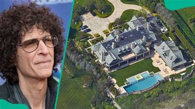 Howard K. Stern Net Worth - Wiki, Age, Weight and Height, Relationships, Family, and More