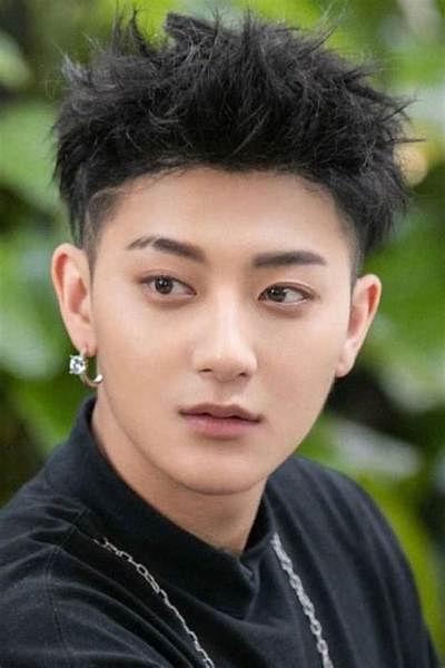 Huang Zitao Height, Weight, Net Worth, Age, Birthday, Wikipedia, Who, Nationality, Biography