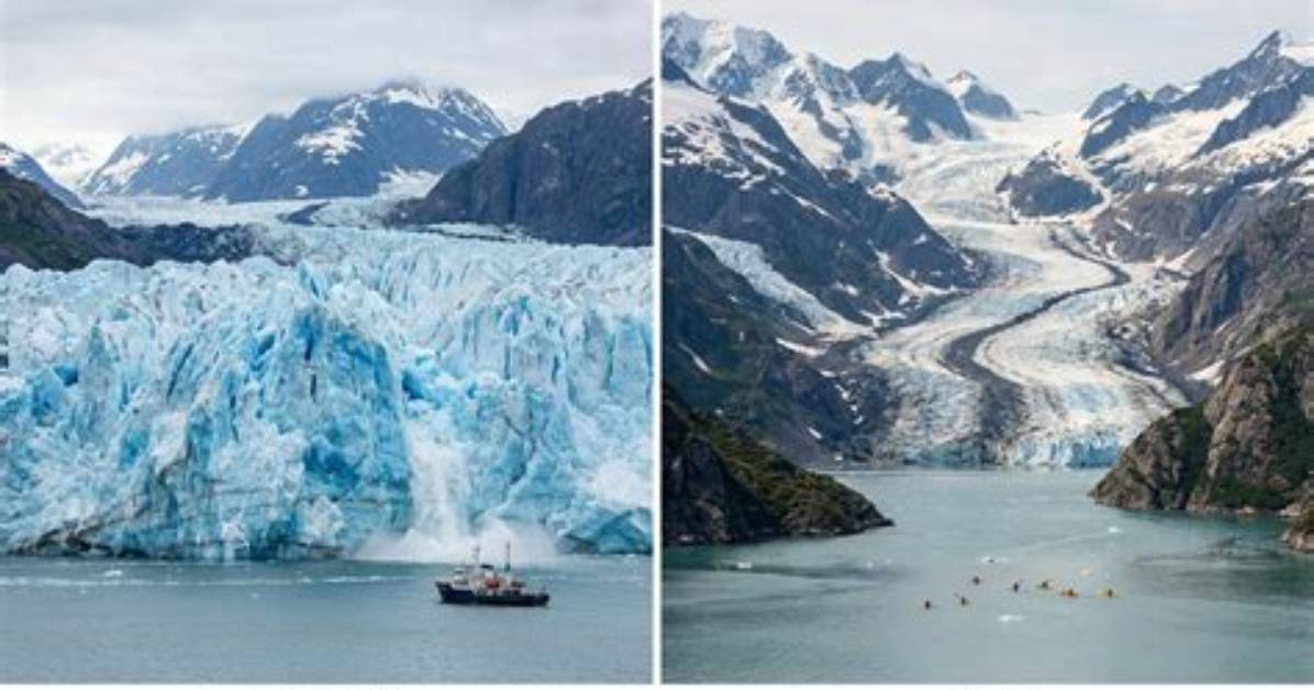 Hubbard Glacier Vs. Glacier Bay Vs. Endicott Arm & Dawes Glacier