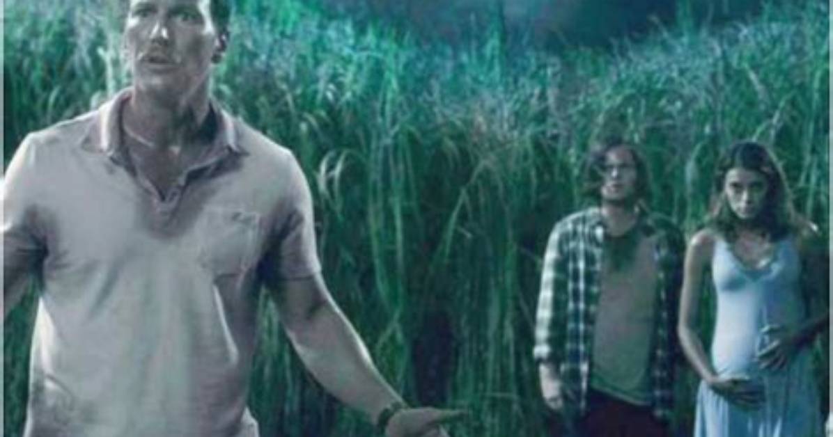 In the Tall Grass - Cast, Ages, Trivia