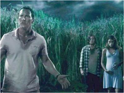 In the Tall Grass - Cast, Ages, Trivia