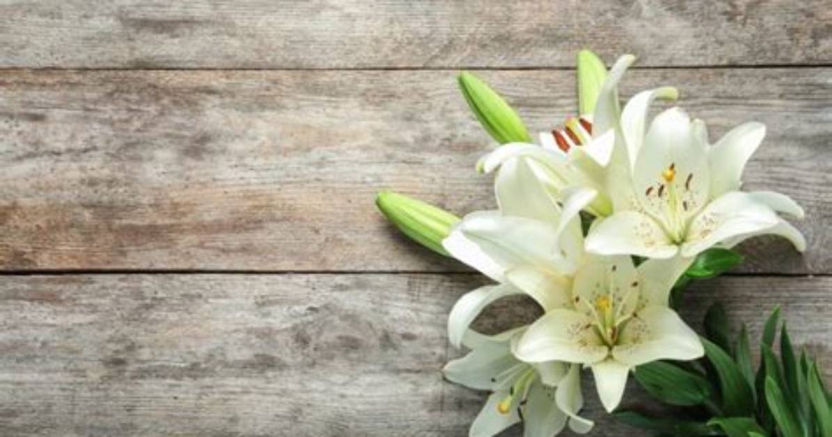 Indiana Zach Savage Obituary and Death Cause: Family Mourns