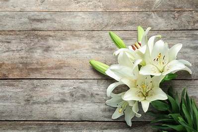 Indiana Zach Savage Obituary and Death Cause: Family Mourns