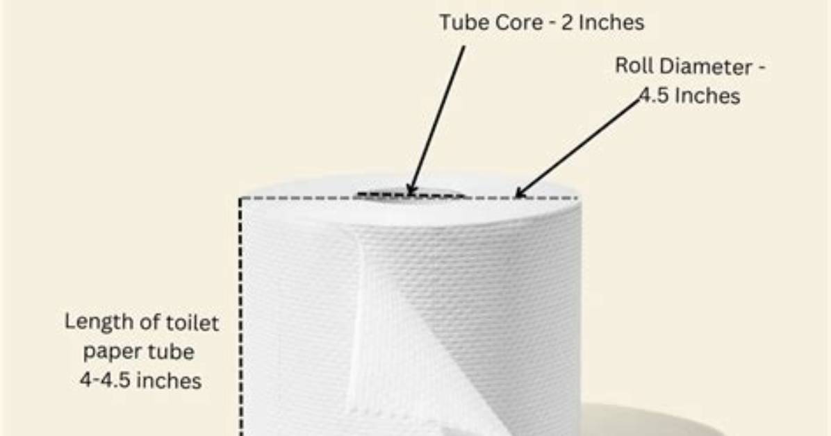 Is a Toilet Paper Roll Thick?