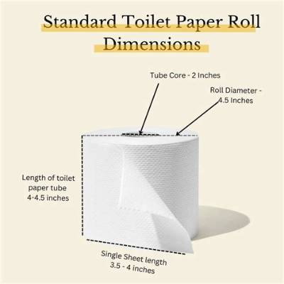 Is a Toilet Paper Roll Thick?