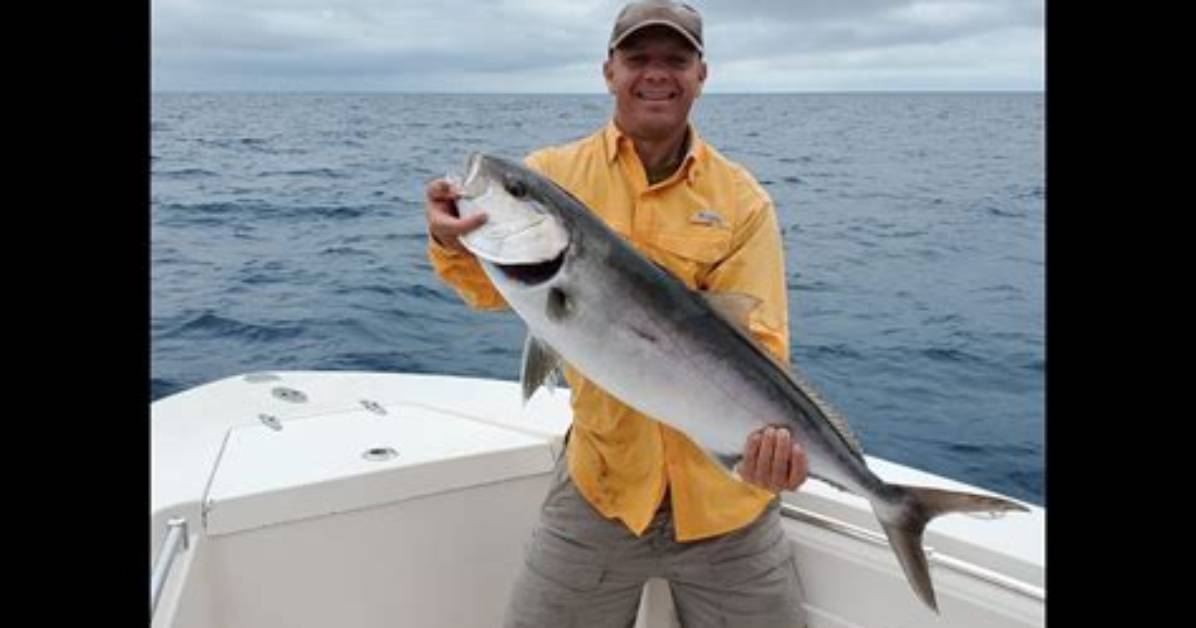 Is Amberjack Good Eating?