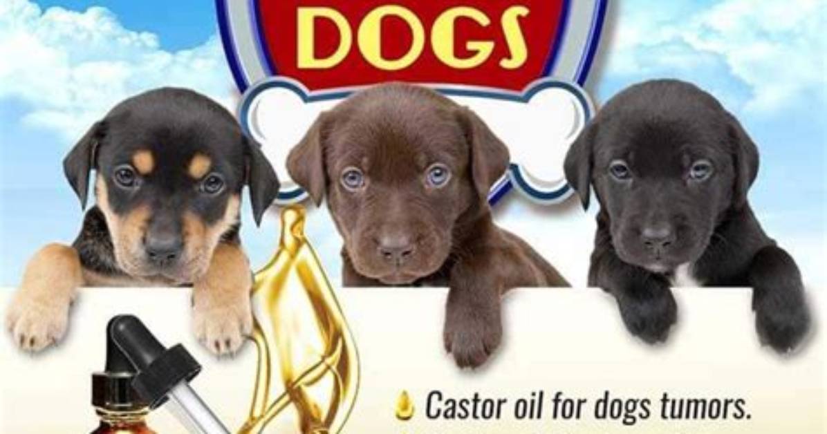 Is Castor Oil Granules Safe for Dogs?