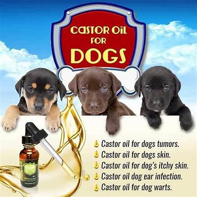 Is Castor Oil Granules Safe for Dogs?