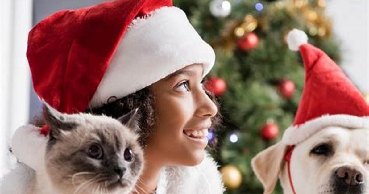 Is Christmas Tree Flocking Toxic to Pets?