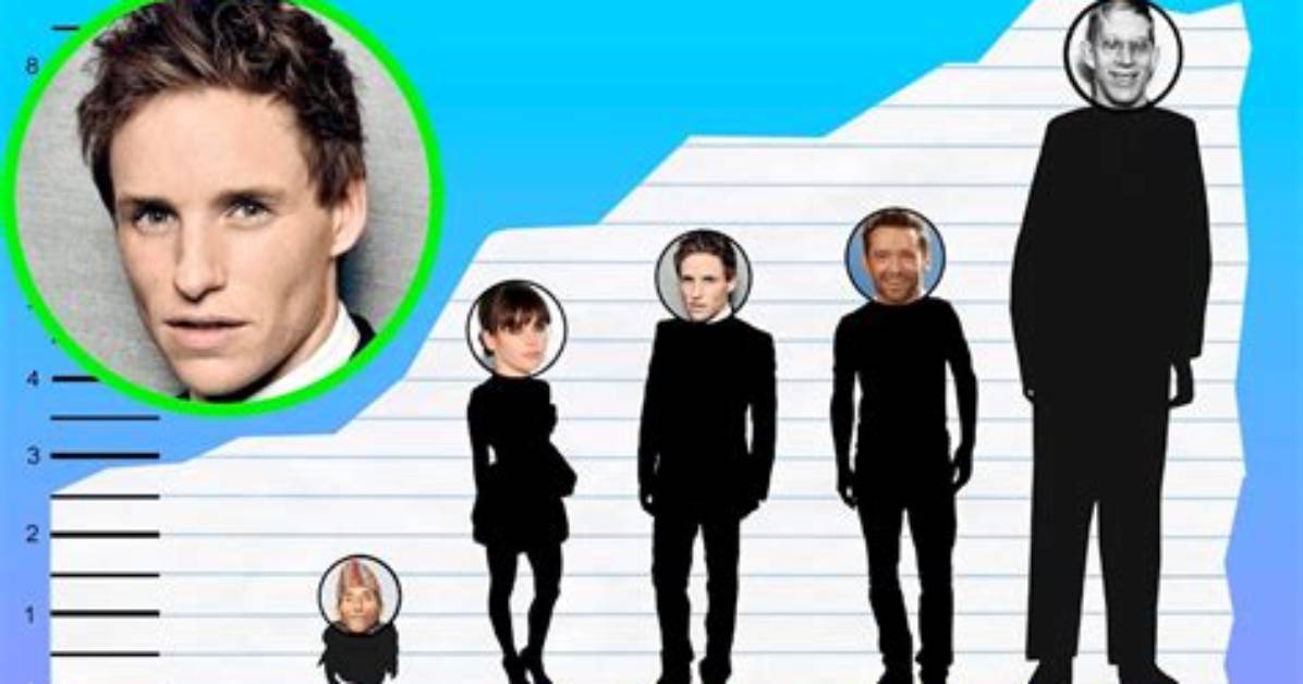 Is Eddie Redmayne Gay? Age, Height, Net Worth