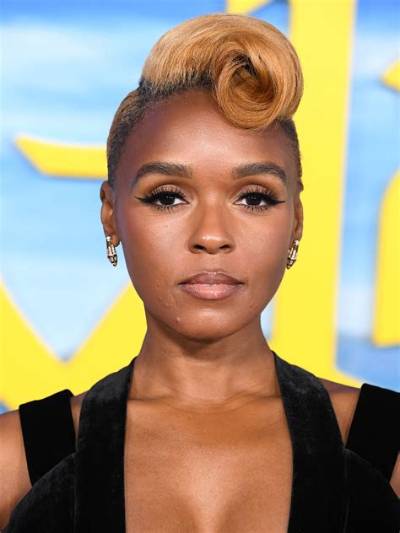 Is Janelle Monae Gay? Age, Height, Net Worth