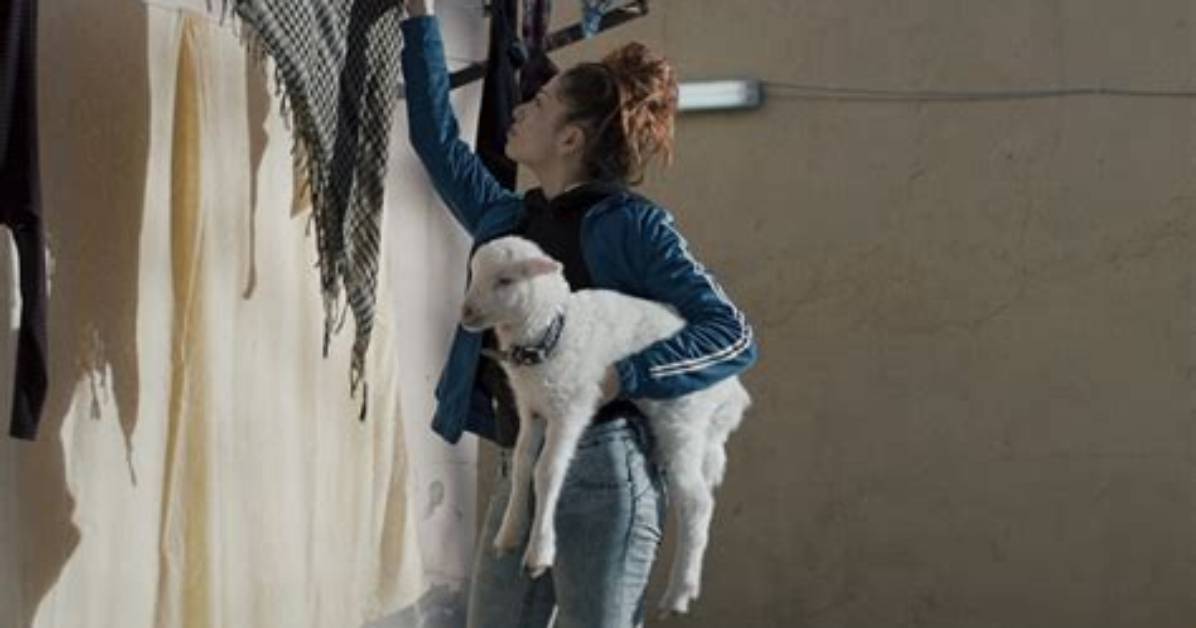 Is Lamb on Netflix? Where to Watch the Movie Lamb