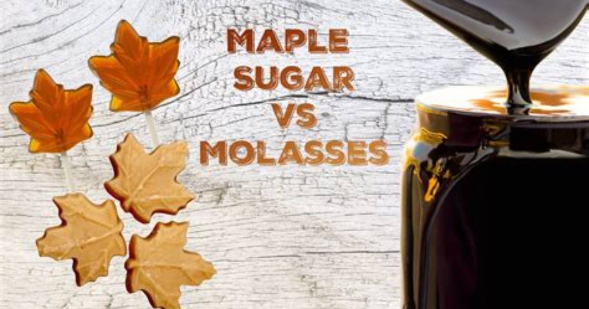 Is Maple Syrup Same as Molasses?