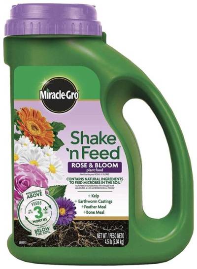Is Miracle Grow Fertilizer Good for Roses?