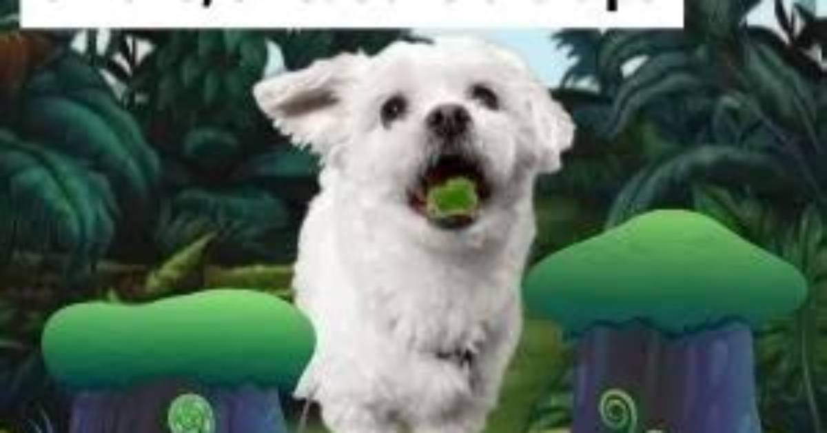 Is Moss Killer Bad for Dogs?