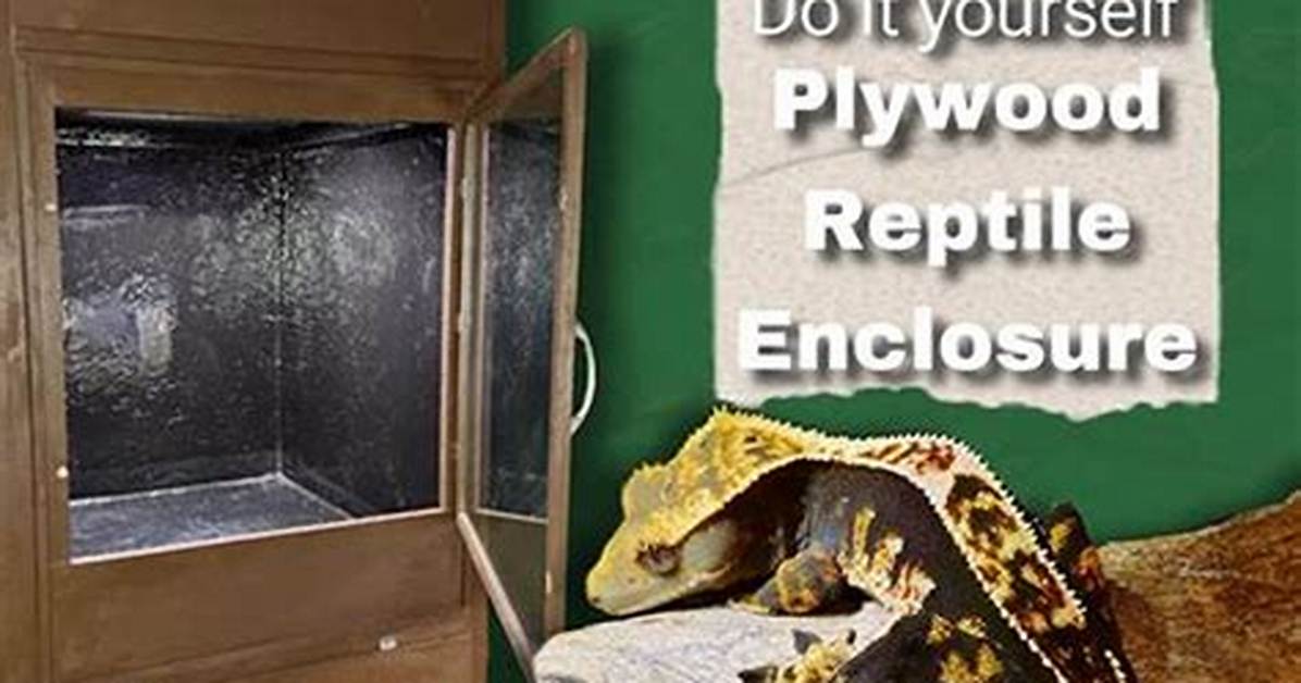 Is Plywood Safe for Reptiles?