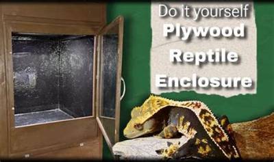 Is Plywood Safe for Reptiles?